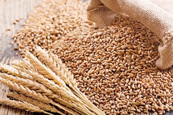 Government announces some relaxation in wheat export ban