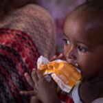 FAO puts forward proposals to address current and future food shortages