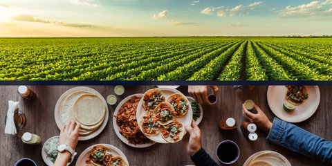 ADM and Benson Hill partner to scale innovative soy ingredients
