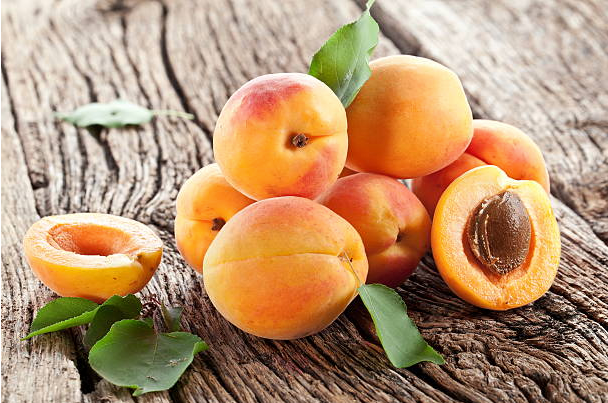 APEDA pushes apricot export from Ladakh
