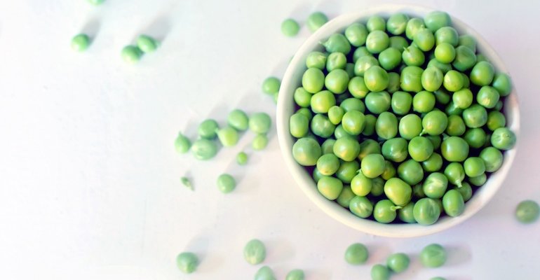 Roquette launches new line of organic pea ingredients