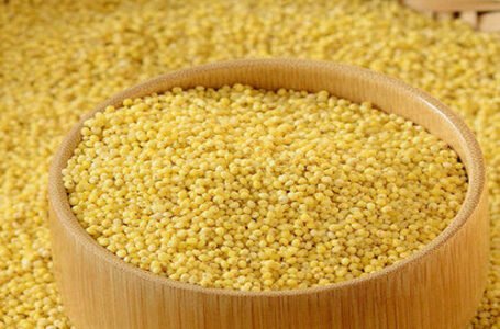Godrej Industries Group Unveils Godrej Food Trends Report 2026 - FFOODS Spectrum
