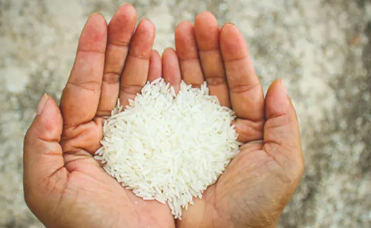 Understanding barriers and facilitators for rice fortification in India