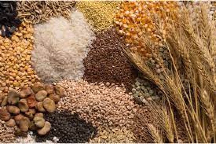 India’s food production reaches 3296.87 lakh tonnes