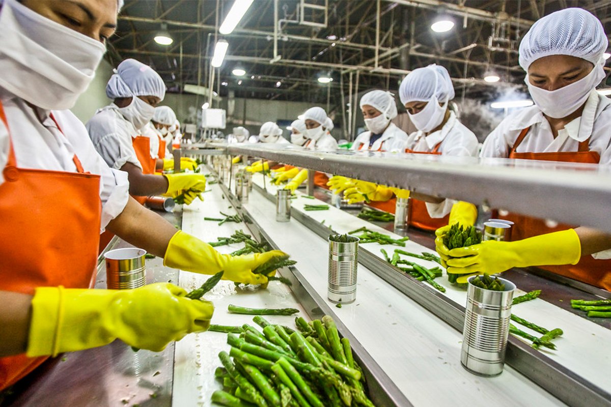 India’s food processing industry invests ₹7,126 crore under PLI scheme