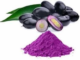 IISER Bhopal conducts first-ever genome-sequencing of Jamun to explain medicinal value