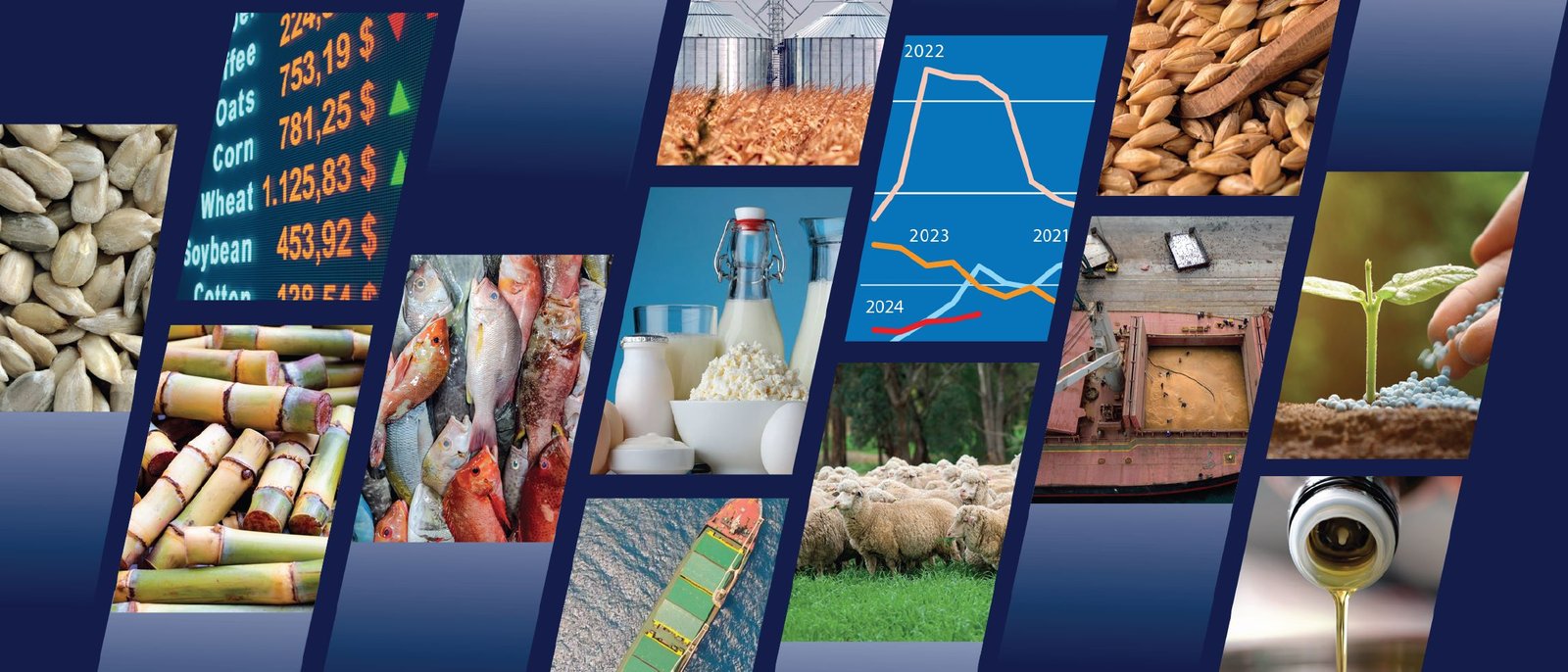 FAO foresees stable outlook for food commodity markets in 2024/25