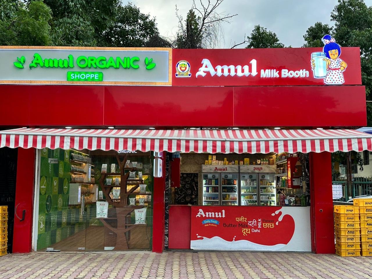 Shah inaugurates Amul’s first exclusive organic shop