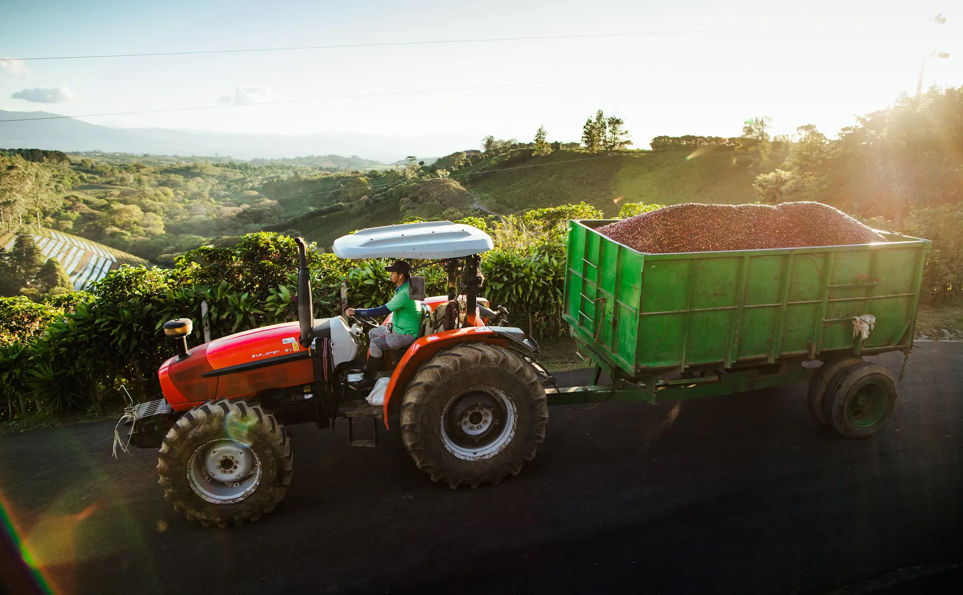 Starbucks expands with two new coffee farms