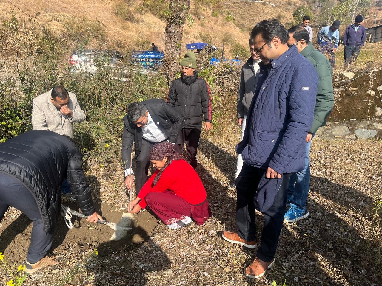 NDFC launches walnut plantation initiative at Chakrata, Uttarakhand