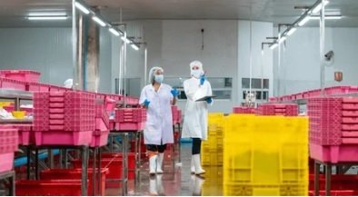 APEDA mulls export growth strategy for processed foods
