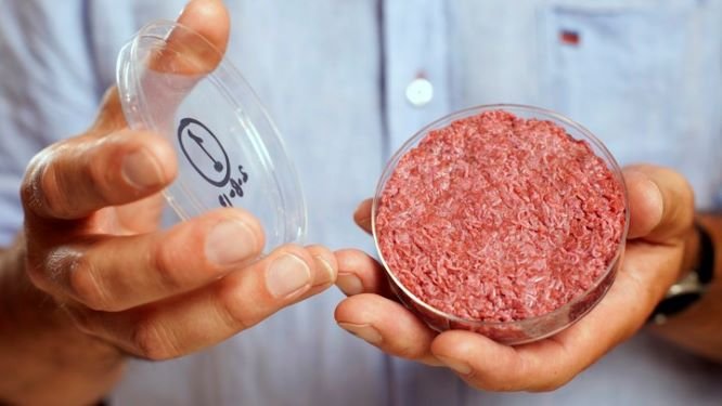 Why Push for Cruelty-Free Meats? 