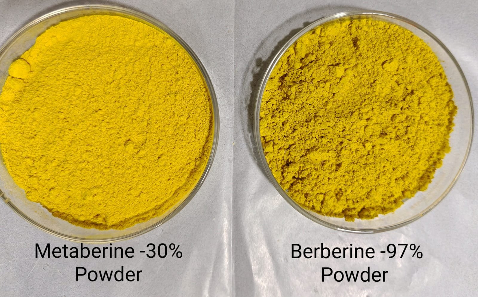 Zeus Hygia Lifesciences launches enriched berberine, Metaberine