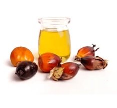 No Palm Oil claims mislead consumers, ignores scientific evidence: OTAI President
