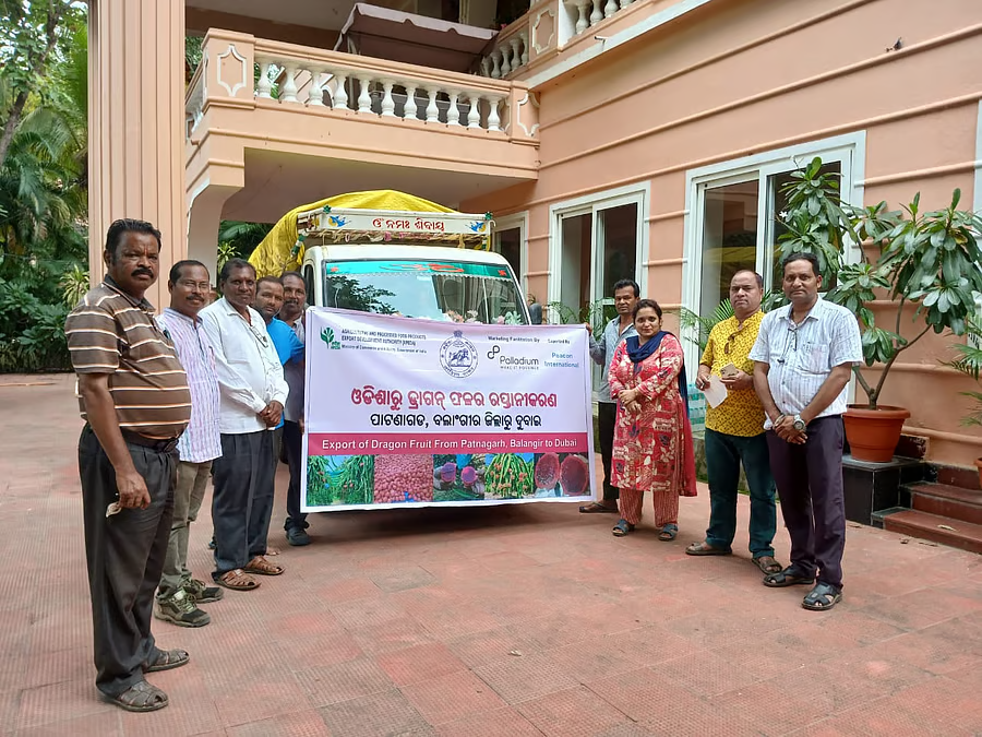 Odisha Strengthens Agri-Exports with Dragon Fruit Shipment to Dubai