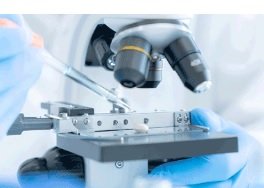 Kerala-based R&D unit of Molecules Biolabs gets DSIR recognition