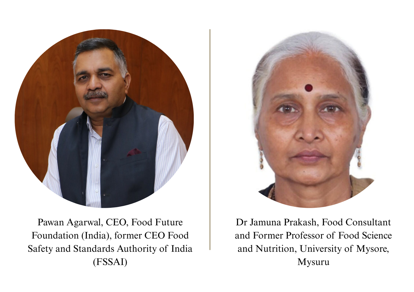 Safety of Food Additives and Glutamates: Global Evidence and Lessons for India