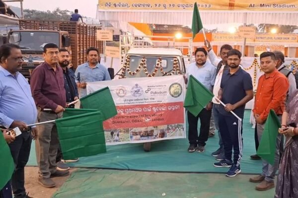 Odisha exports 51 kgs strawberries from Dhenkanal to London