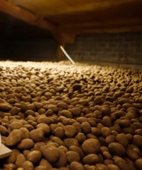 Potato storage leader Restrain Company opens new UK headquarter