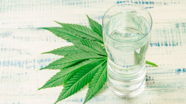 appyea-signs-exclusive-cbd-infused-beverage-licensing-agreement