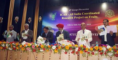 ICAR- AIC Research Project on fruits organizes group discussion