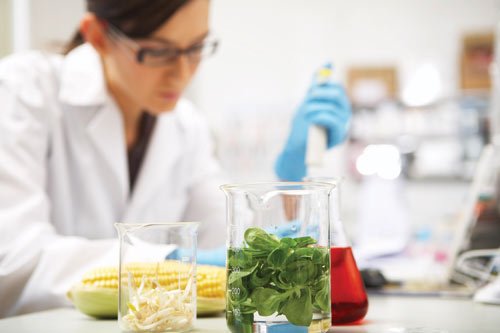 FSSAI, CHIFSS, NIFTEM collaboration on Food Safety Sciences