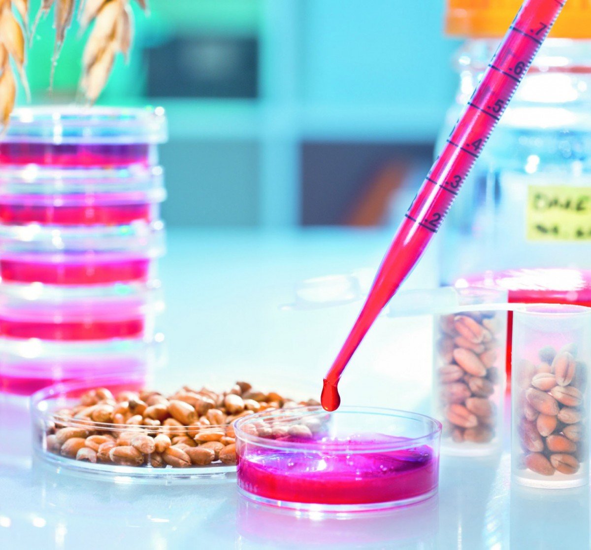 fssai-fixes-testing-charges-for-proteins-and-calories-under-mdm-icds-schemes