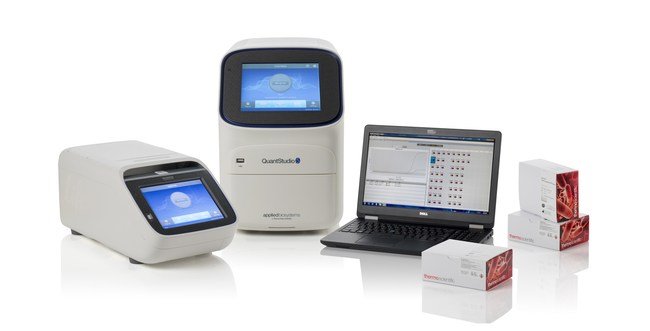 Thermo Scientific SureTect PCR assay offer rapid food pathogen detection