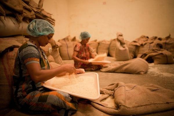womens-agricultural-labour-is-a-key-driver-of-malnutrition-in-india