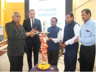 icar-ndri-organises-workshop-on-quality-safety-of-dairy-products