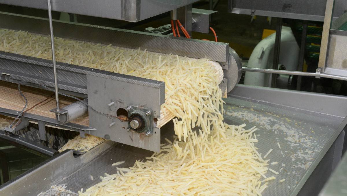 mccain-invests-in-first-frozen-french-fry-factory-in-brazil