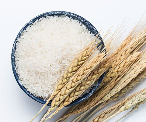 NITI Aayog seeks roadmap creation for rice fortification scheme
