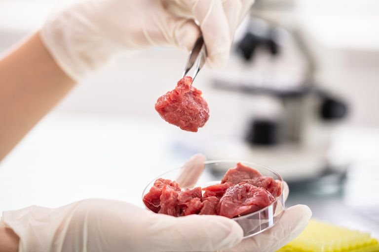 atal-incubation-centre-launches-clean-meat-innovation-challenge