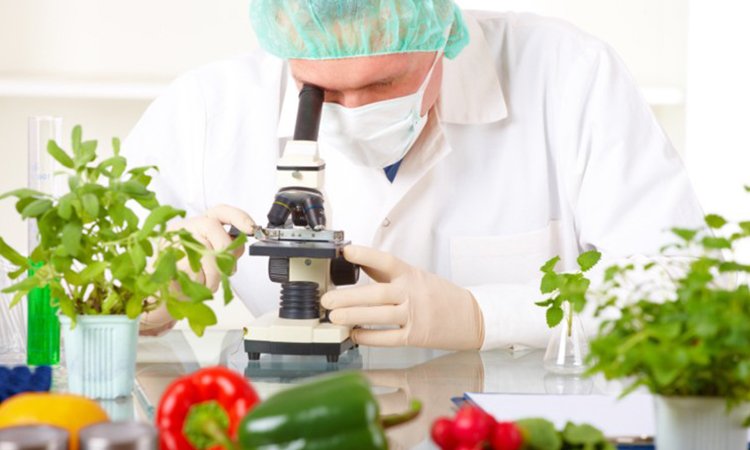 DBT calls for research proposals on food fortification