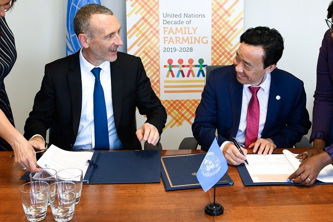 fao-danone-team-up-to-improve-global-nutrition