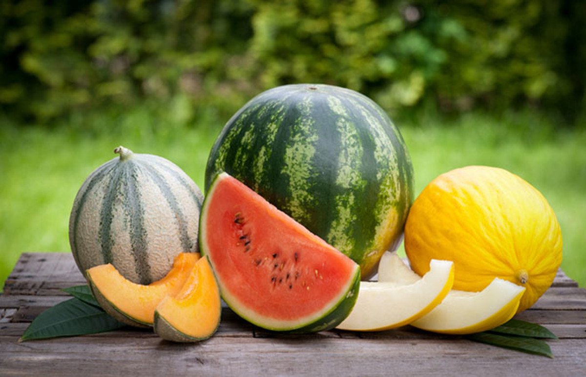 SmartFresh helps bring fresh melons to distant markets