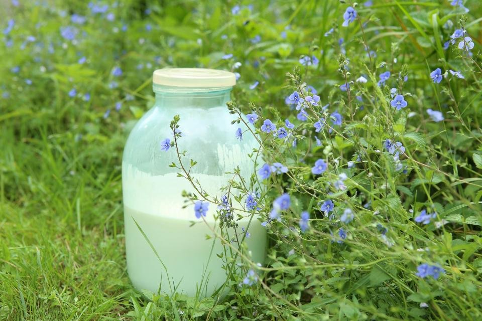 us-study-reveals-harmful-effects-of-raw-milk