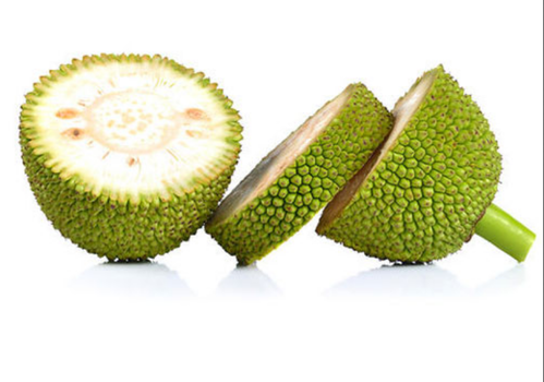 Experts recommend green jackfruit flour to manage & control diabetes
