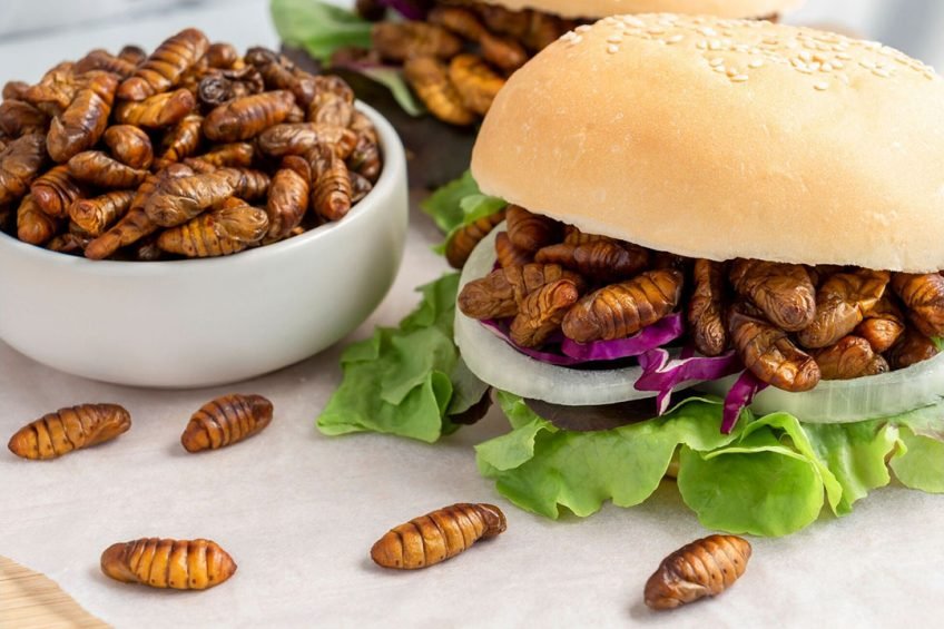 Can Insects Become Our Daily Bread?