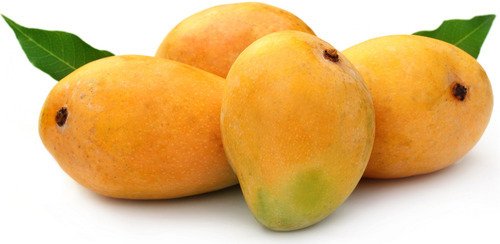 india-dispatches-alphonso-and-kesar-mango-consignment-to-japan-for-boosting-exports