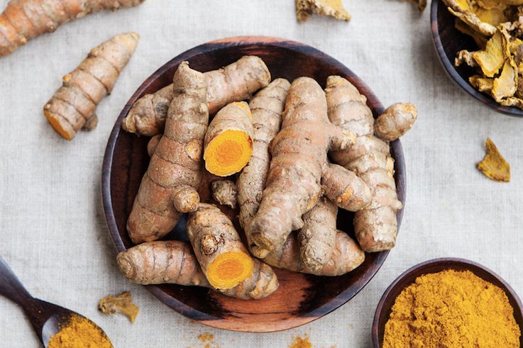 iiser-bhopal-unravels-genome-of-turmeric-for-first-time