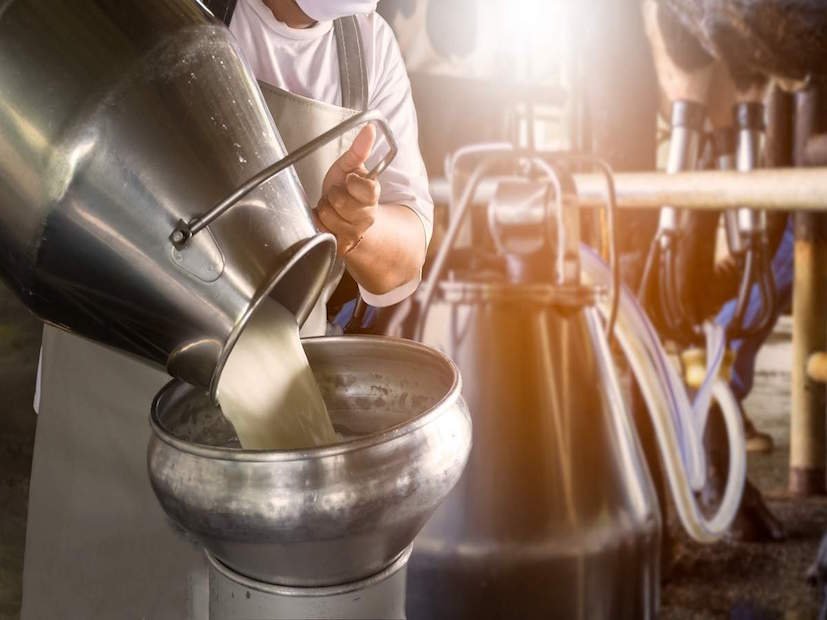 govt-launches-new-scheme-for-dairy-sector