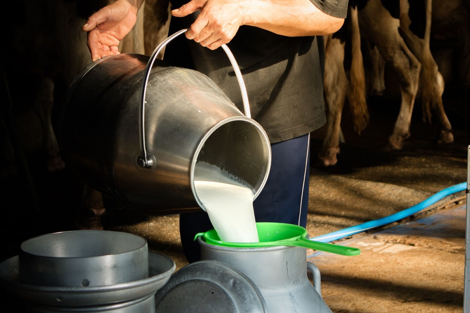 NDDB promotes efficient renewable tech in dairy industry