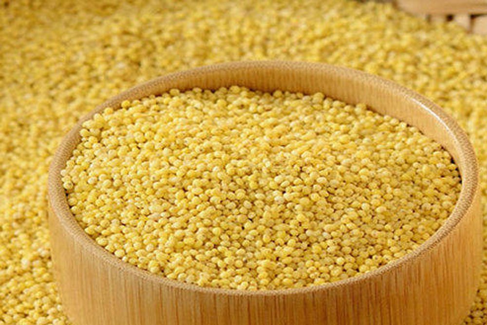 Consensus emerges on millets protein in international consultation