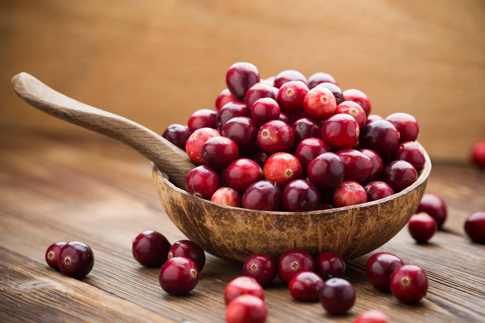 daily-consumption-of-cranberries-may-improve-cardiovascular-function-study