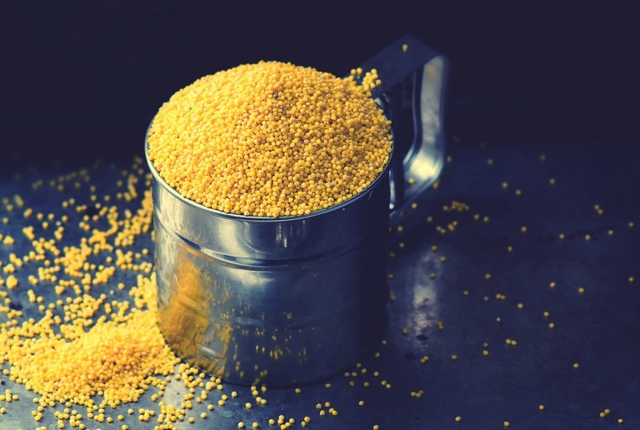 india-begins-exporting-organic-millets-to-denmark