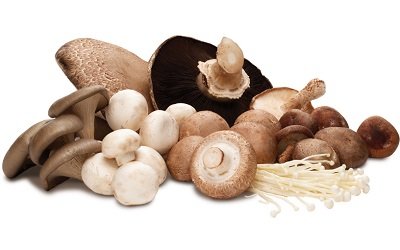 study-shows-consuming-mushrooms-may-improve-the-immune-system