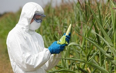 reduce-greed-and-monopoly-for-gm-foods-to-succeed