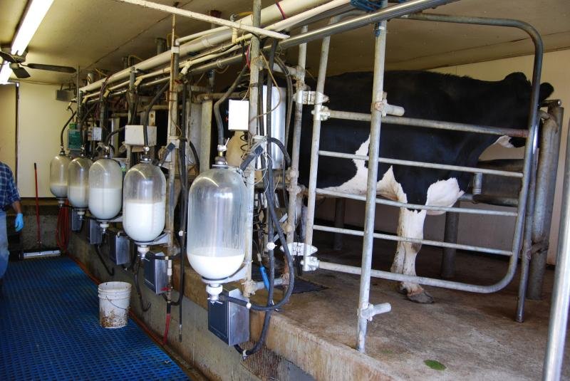 fssai-issues-draft-regulations-to-modify-fssr-recounting-stds-for-milk