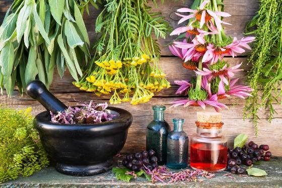 Legumes-An Affordable Nutrifood
